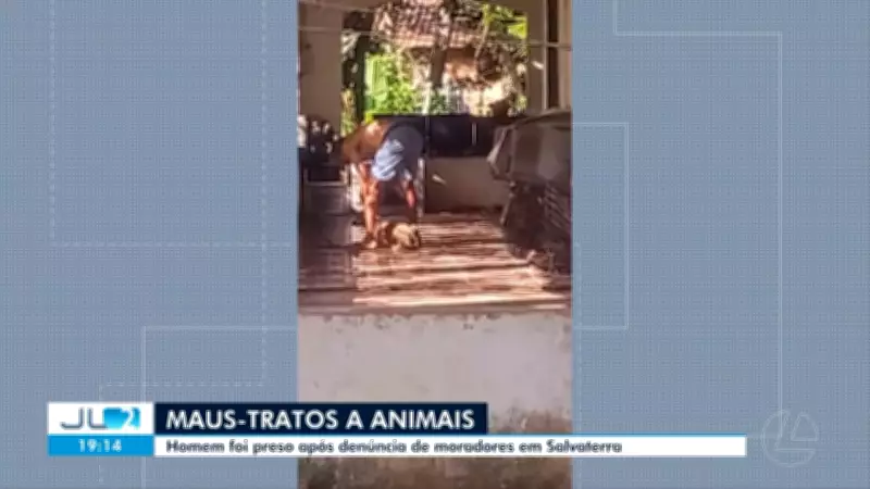 Homem preso em Salvaterra por maus-tratos a animais; casos no Pará crescem 54%