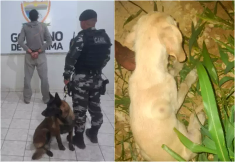 Homem é preso no trabalho suspeito de atirar em filhote de cachorro no bairro Nova Cidade