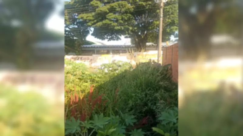 Homem é preso por agredir até a morte em terreno baldio de Itapeva (SP)