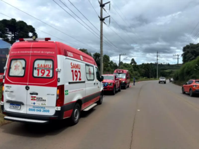 Homem sofre mais de 100 picadas de abelhas em ataque em Caçador, Santa Catarina