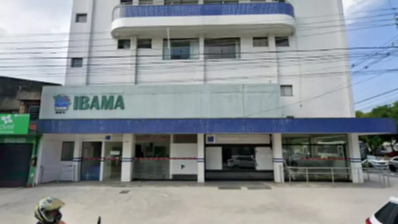 IBAMA abre inscrições para estágio com vagas em 36 cidades, incluindo Belém e Santarém