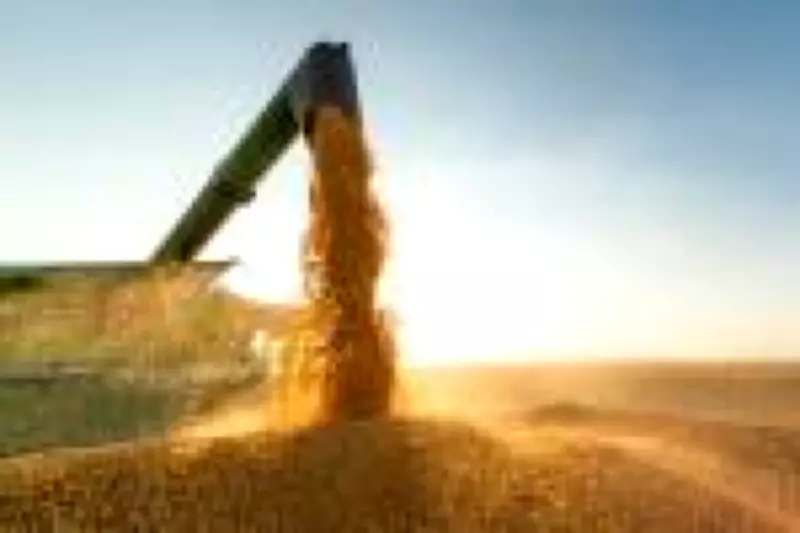 IBC-Br recua 0,20% em dezembro e fecha 2025 com crescimento de 2,4%