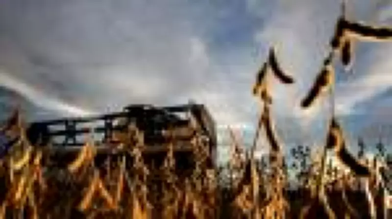 IBC-Br recua 0,20% em dezembro, sinalizando desaceleração gradual da economia