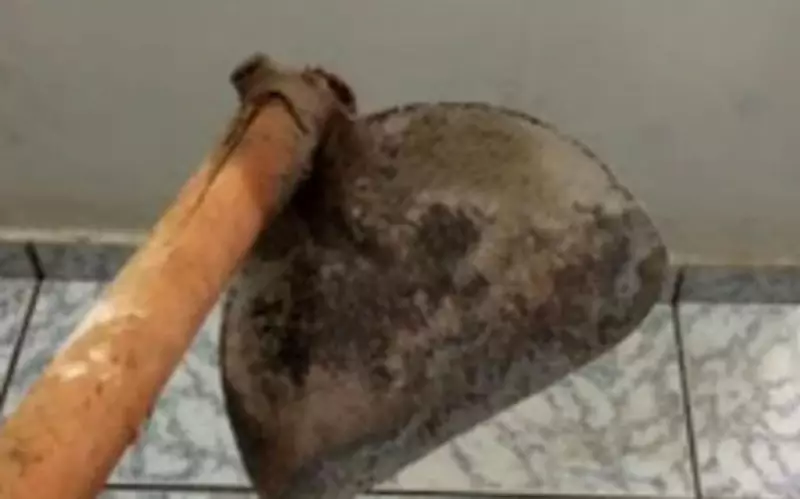 Idosa de 82 anos é assassinada com enxada durante assalto em Palmeirândia, MA