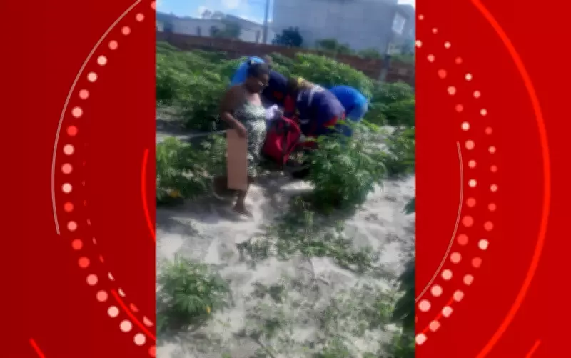 Idoso de 73 anos sofre acidente grave ao cair em vergalhão durante capina em Conceição do Coité