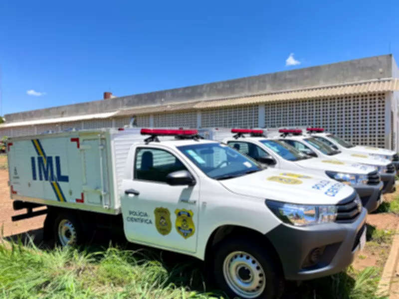Idoso de 81 anos morre após ataque de abelhas em povoado rural de Araguaína