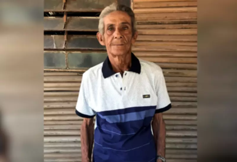 Idoso de 81 anos morre após ataque de enxame de abelhas em chácara no Tocantins