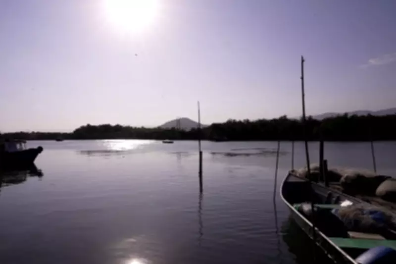 Ilha Diana: O Refúgio Caiçara em Santos Onde Portas Ficam Abertas e Novos Moradores São Barrados