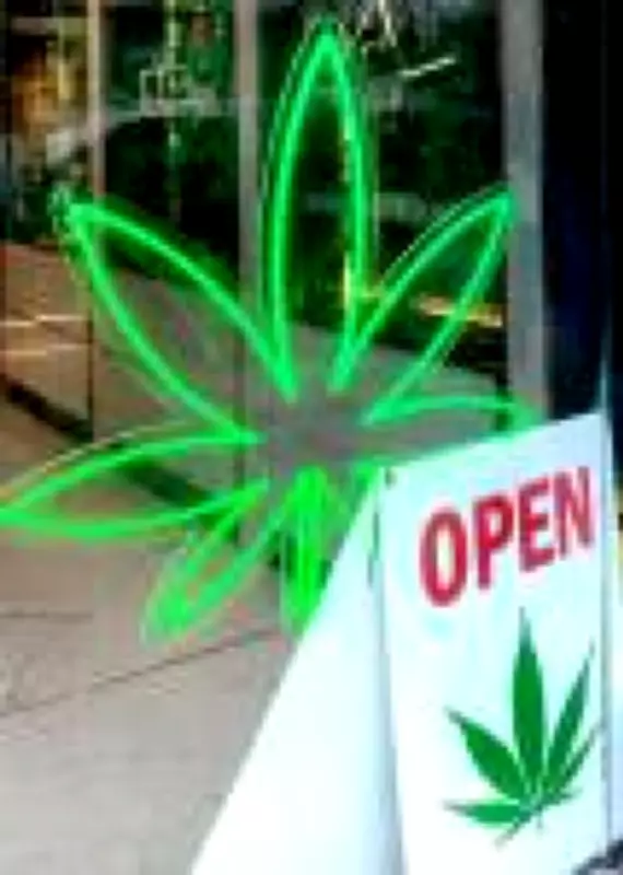 Importação de cannabis medicinal atinge recorde histórico no Brasil em 2025