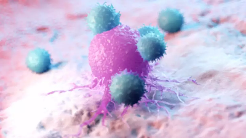 Inca projeta 781 mil novos casos de câncer por ano no Brasil; Acre estima 1.170 em 2026