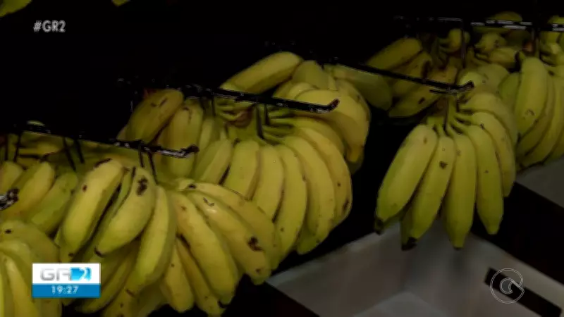 Incêndio em Petrolina: Bombeiros Controlam Fogo em Área de Vegetação