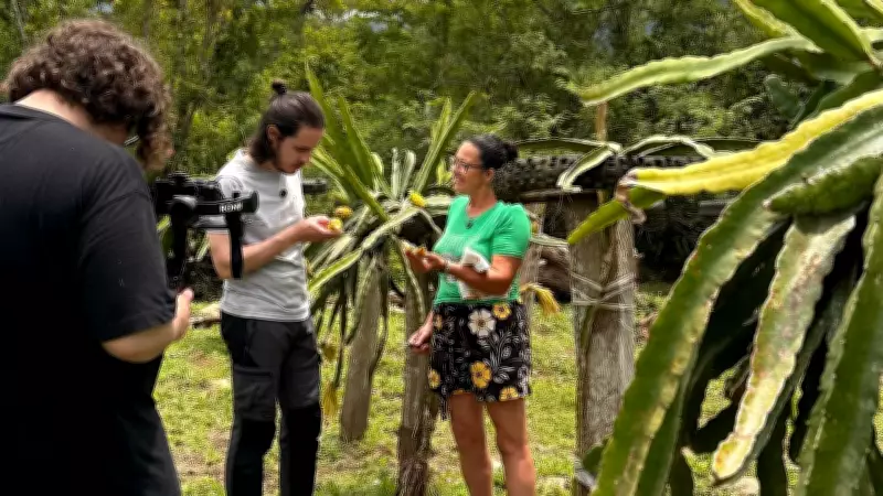 Influencer gaúcho revela belezas ocultas de cidades esquecidas do RS em documentários