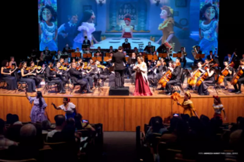 Instituto Boa Vista de Música oferece 167 vagas gratuitas para aulas em 2026
