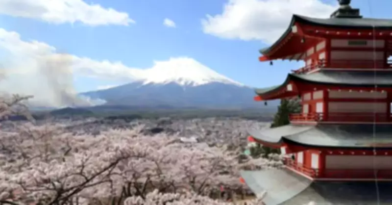 Japão cancela festival das cerejeiras em flor devido ao turismo excessivo e problemas com visitantes
