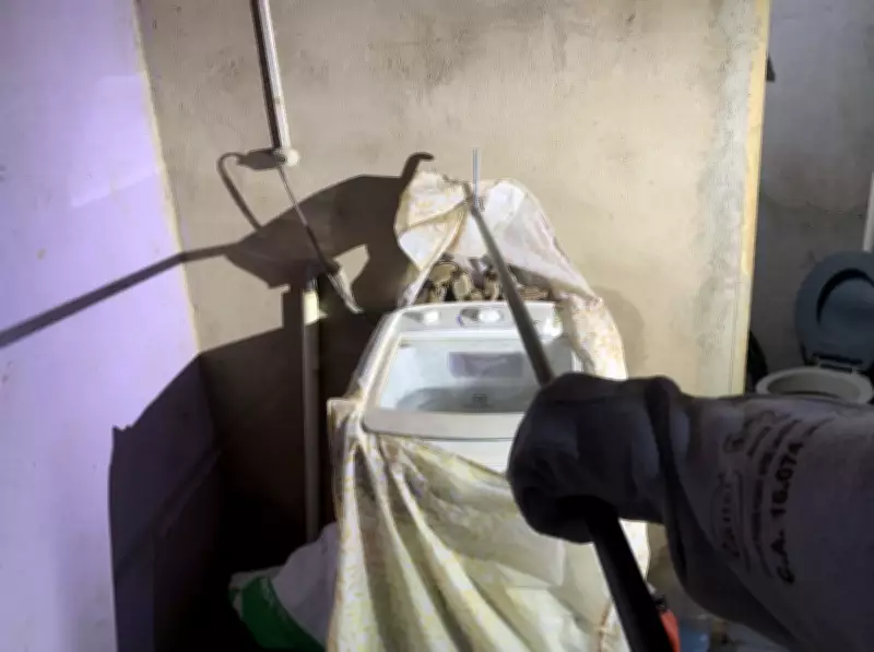 Jiboia é encontrada dentro de casa em Alta Floresta d'Oeste, RO, e é resgatada pela polícia