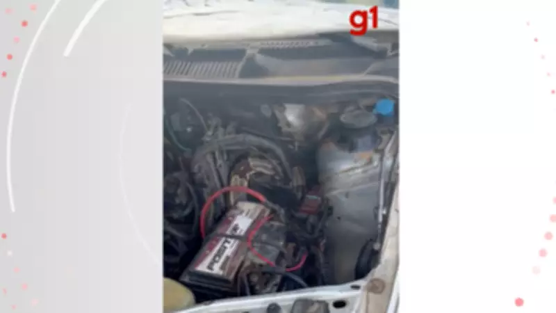 Jiboia é resgatada de dentro do motor de carro em Governador Valadares, MG