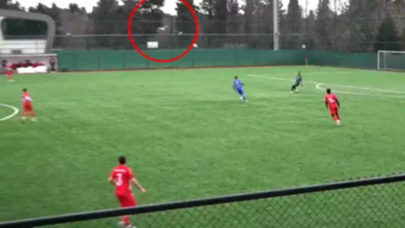 Jogador de futebol salva gaivota com massagem cardíaca após bola atingir ave em campo