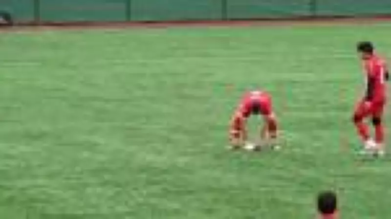 Jogador turco salva gaivota com massagem cardíaca durante partida de futebol