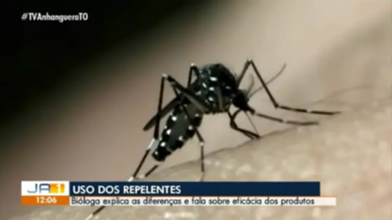 Jornal Anhanguera Exibe Notícias Locais e Nacionais em Edição de Terça-feira