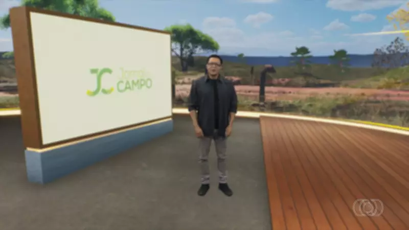 Jornal do Campo TO apresenta reportagens sobre agricultura e pecuária no Tocantins