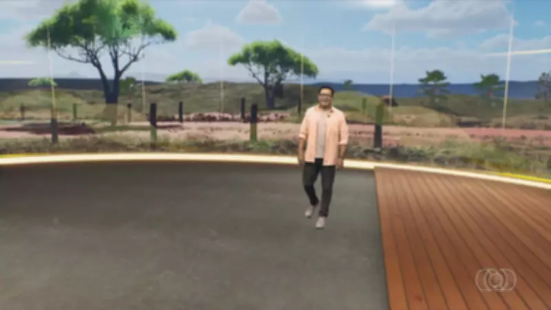 Jornal do Campo TO exibe reportagens sobre agricultura e pecuária neste domingo