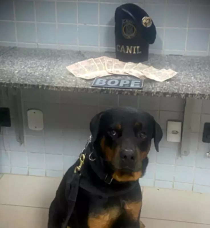 Jovem de 25 anos é preso com R$ 600 em notas falsas no Centro de Boa Vista