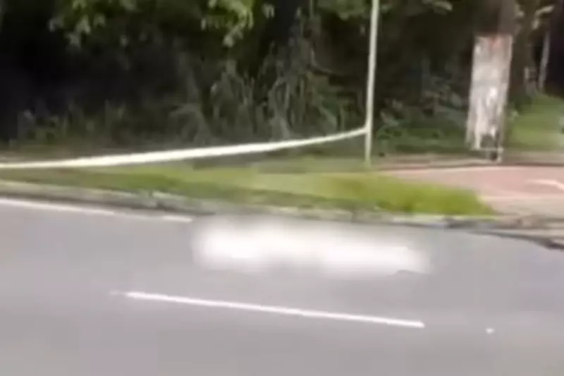 Jovem de 27 anos morre atropelado após pular defensa em avenida de Praia Grande