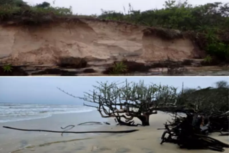 Justiça de Cananéia dá prazo de 45 dias para estudos contra erosão na Ilha do Cardoso