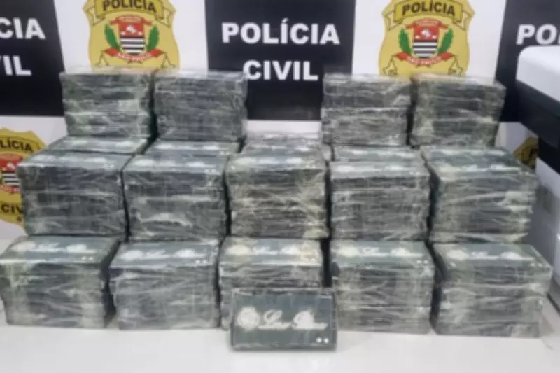 Justiça de Santos absolve seis homens após apreensão de 196 kg de cocaína em terminal
