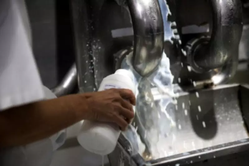 Justiça Federal condena fiscais e empresários por esquema de propina em laticínios no RS