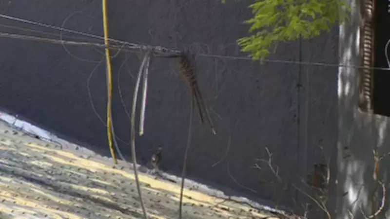 Justiça mantém multa diária de R$ 10 mil à CEEE Equatorial por plano inadequado sobre fios em Porto Alegre