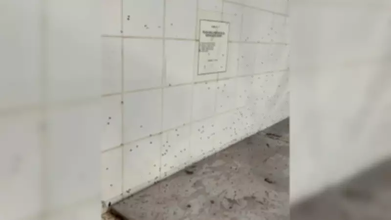 Laboratório de Anatomia Animal da UFU é interditado por condições sanitárias impróprias