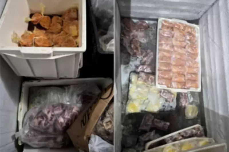 Lanchonete em Uberaba é interditada com 740 kg de alimentos impróprios após denúncia de intoxicação