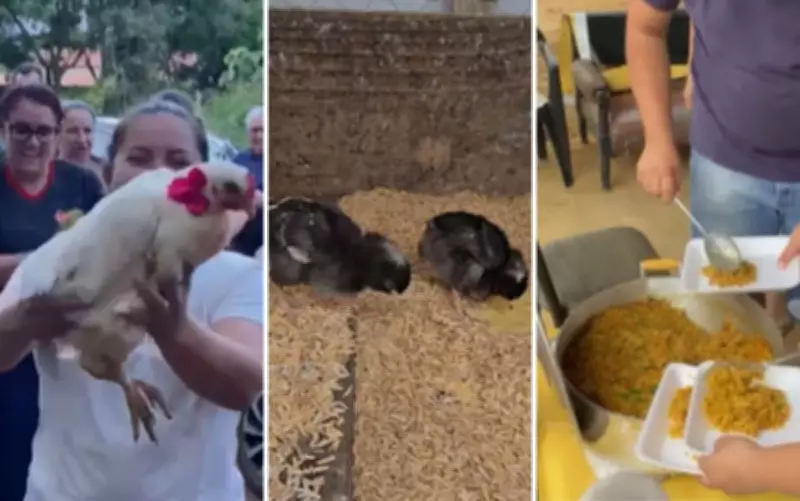 Lavradora recebe 'chá de galinha' solidário após ataque de cachorros ao galinheiro em Goiás