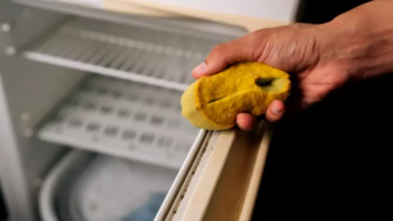 Limpeza da borracha da geladeira: passo a passo essencial para evitar mofo e desperdício