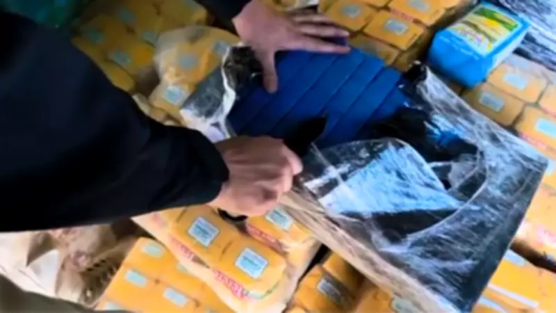 Mais de 2,8 toneladas de maconha são apreendidas em carga de erva-mate em José Bonifácio