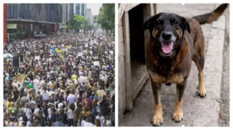 Manifestantes ocupam Avenida Paulista em ato por Justiça no caso do cão Orelha