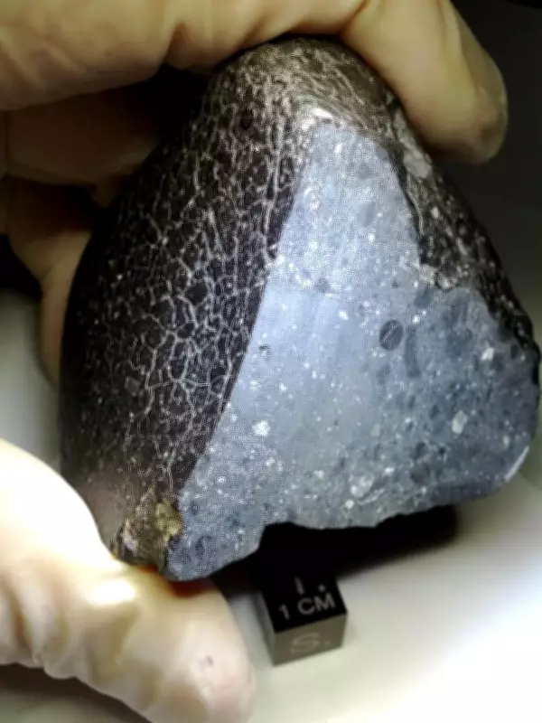 Mapeamento 3D inédito de meteorito revela onde a água estava concentrada em Marte