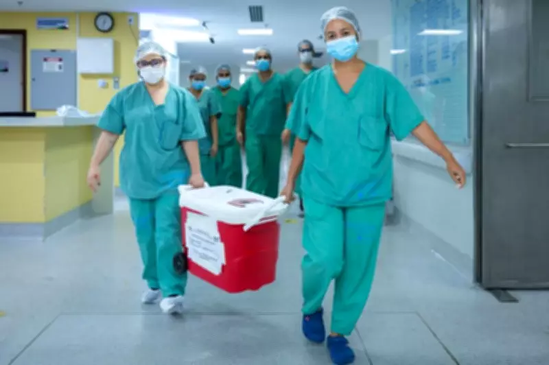 Maranhão se torna pioneiro no Nordeste com transplante hepático intervivos entre adultos