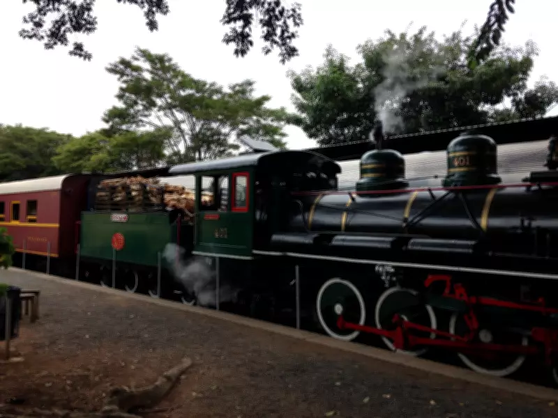 Maria-fumaça em Jaguariúna: história e turismo no interior de São Paulo