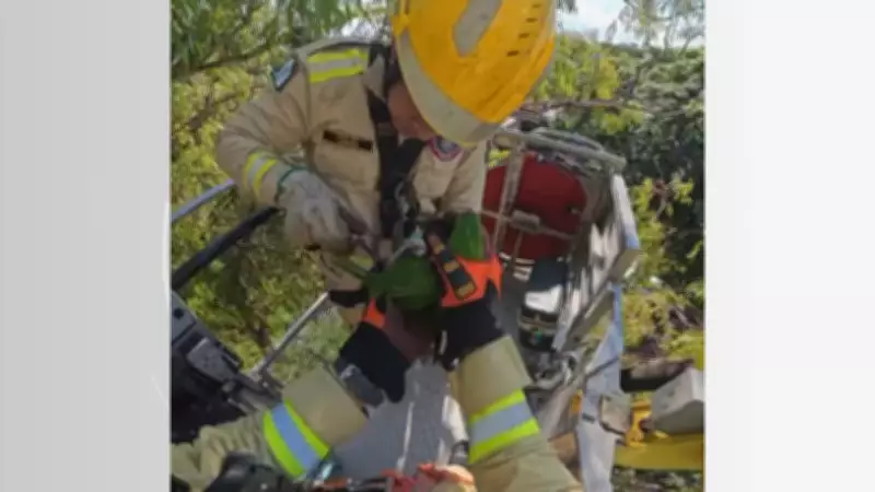 Maritaca é salva por bombeiros após ficar presa em linha de pipa em árvore de Maringá