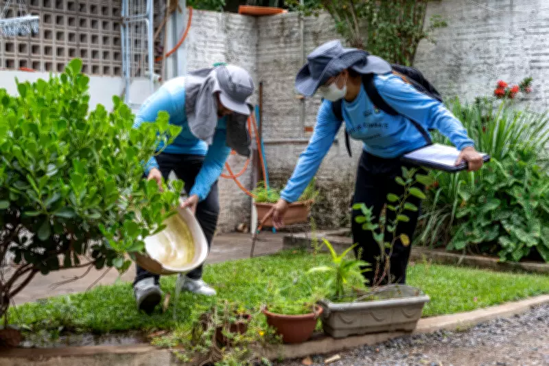 Mato Grosso registra primeira morte por chikungunya no Brasil em 2026