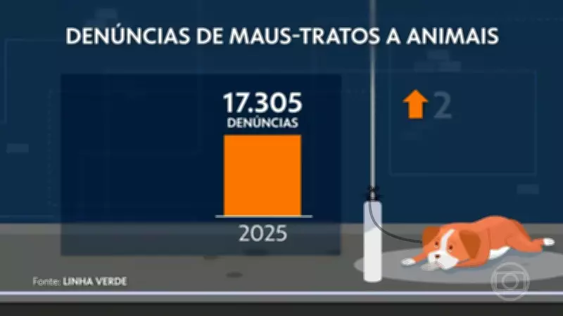 Maus-tratos a animais disparam no Rio de Janeiro, com denúncias em alta de 27%