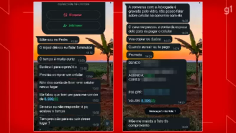 Mãe de piloto preso por agredir jovem em coma no DF é alvo de tentativas de golpes