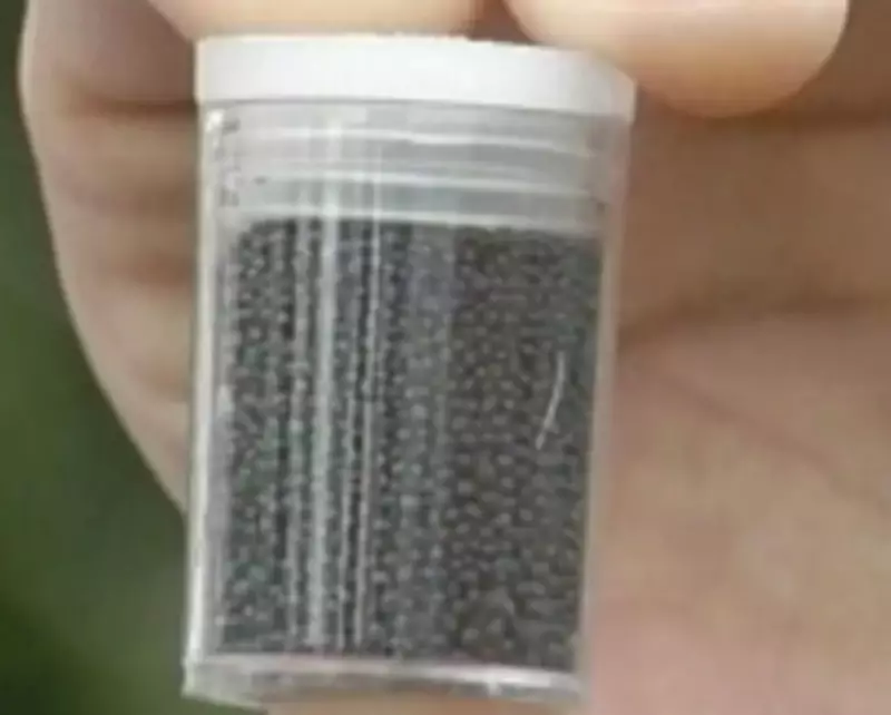 Mãe é presa por suspeita de envenenar filha de 3 anos com chumbinho em Pirassununga