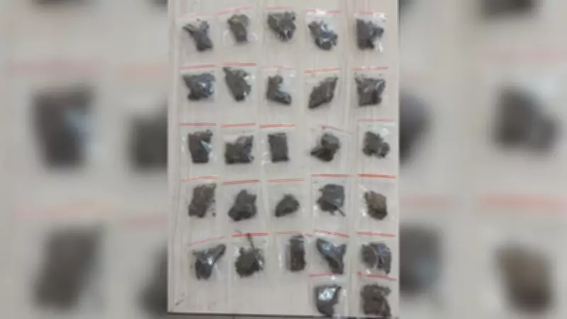 Mãe é presa por tráfico de drogas em Rio Preto, e filhas são acolhidas pelo Conselho Tutelar