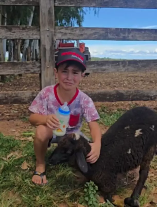 Menino chora ao achar que perderá carneirinha deficiente e se emociona com surpresa