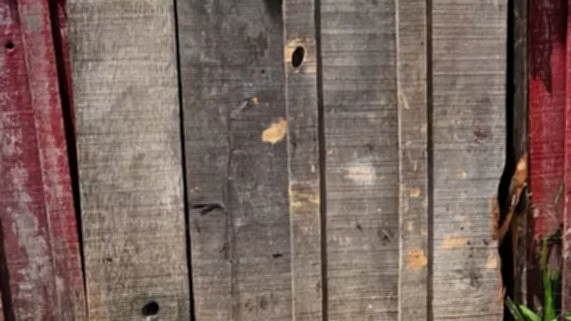 Menino de 10 anos é morto a tiros em Cristal, RS, durante ataque que feriu mãe e irmã