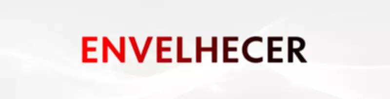 Mercado de trabalho 60+: desafios e oportunidades para idosos no Brasil