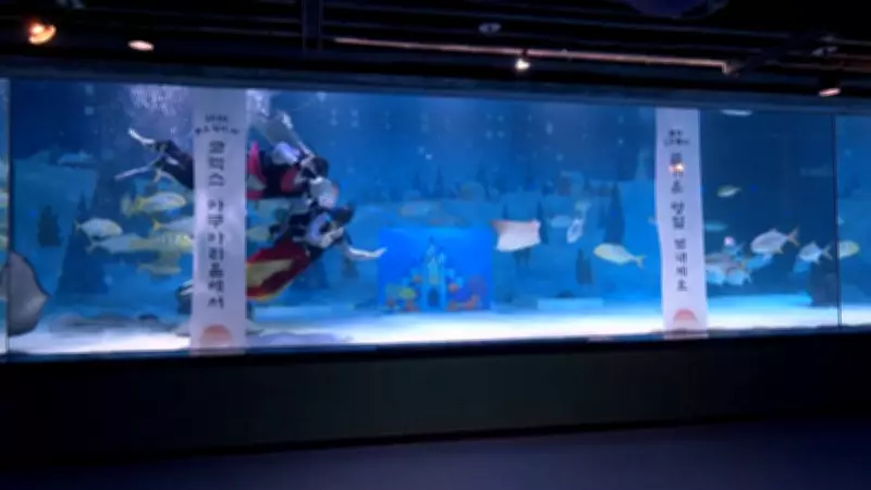 Mergulhadores em trajes típicos nadam com arraias em celebração do ano novo lunar em Seul